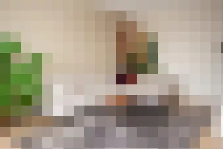 Telemannstraat 61 Zwolle thumbnail 6