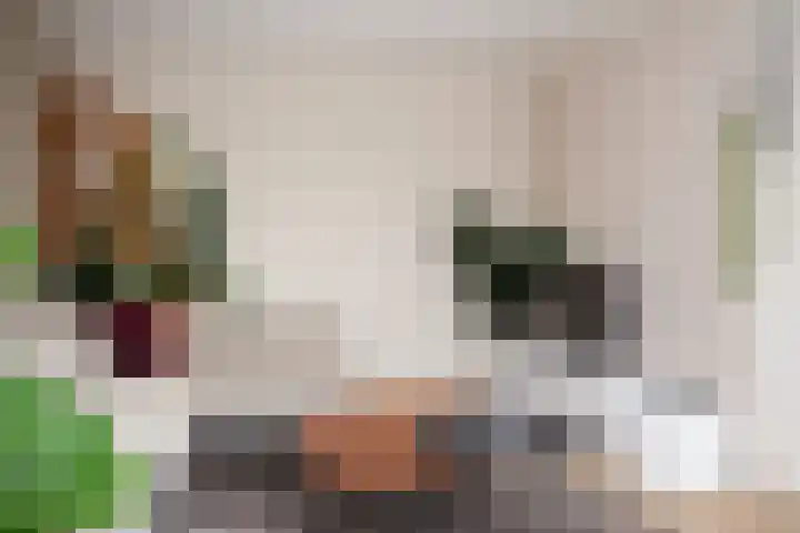 Telemannstraat 61 Zwolle thumbnail 7