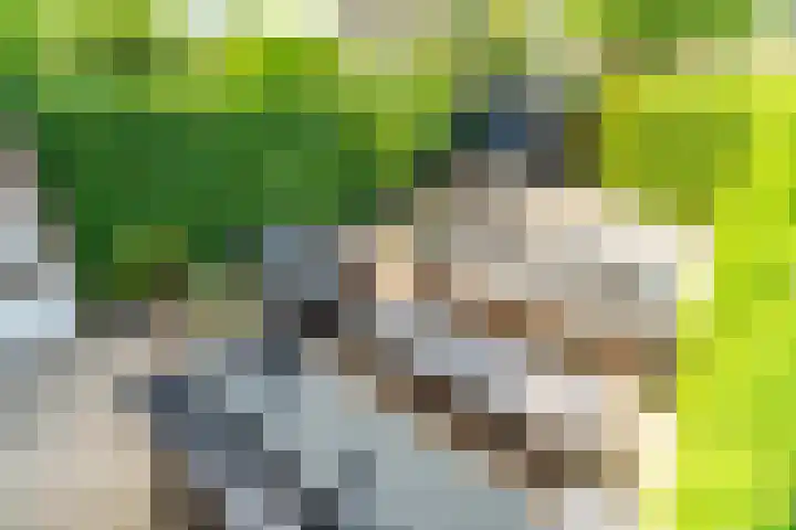 Telemannstraat 9 Rhoon thumbnail 20