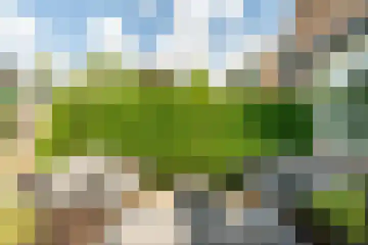 Telemannstraat 9 Rhoon thumbnail 21