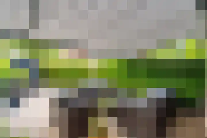 Telemannstraat 9 Rhoon thumbnail 23