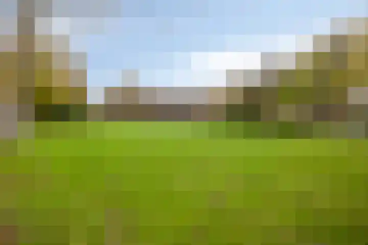 Telemannstraat 9 Rhoon thumbnail 28