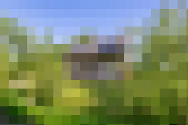 Telemannstraat 9 Rhoon thumbnail 39