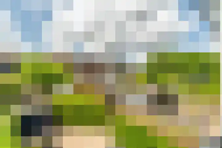 Telemannstraat 9 Rhoon thumbnail 42
