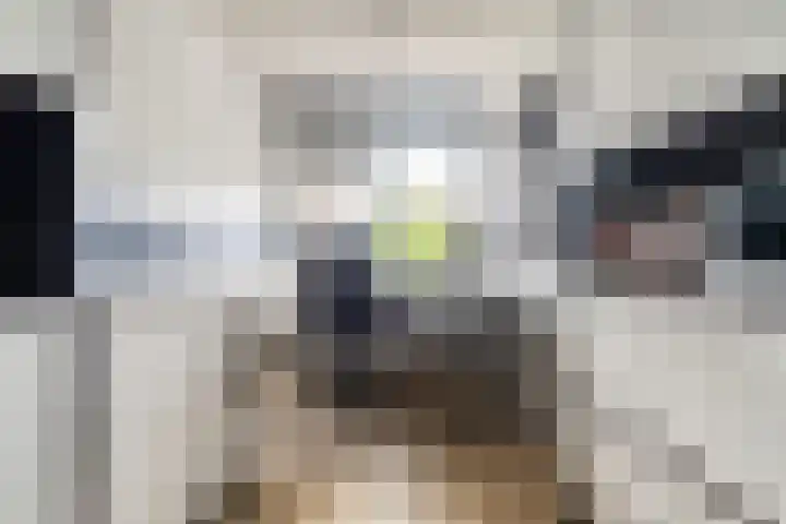 Telemannstraat 9 Rhoon thumbnail 44