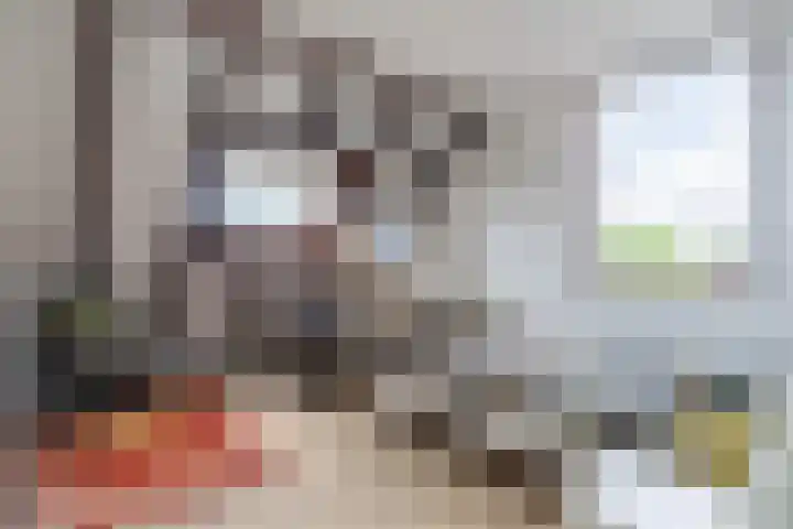 Telemannstraat 9 Rhoon thumbnail 45