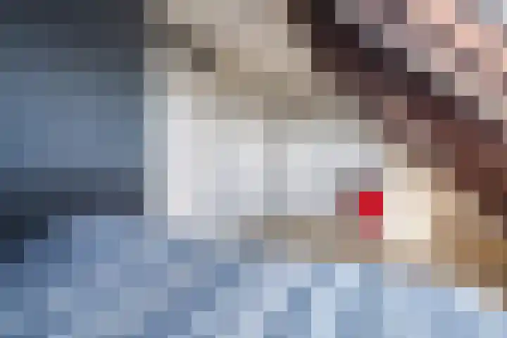 Telemannstraat 9 Rhoon thumbnail 51