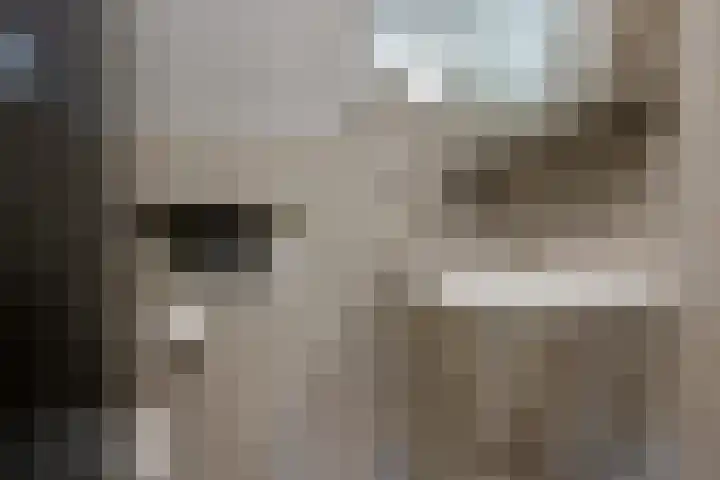 Telemannstraat 9 Rhoon thumbnail 57