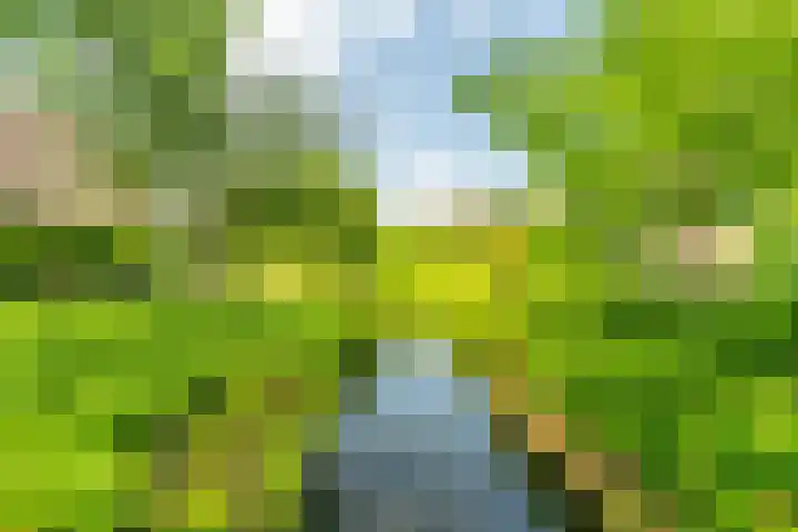 Telemannstraat 9 Rhoon thumbnail 58