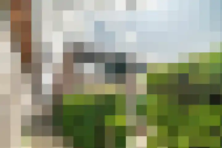 Telemannstraat 9 Rhoon thumbnail 59