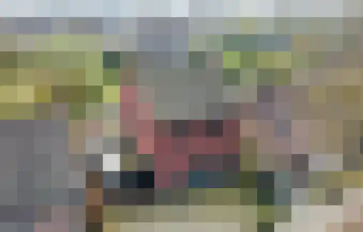 Telemannstraat 9 Rhoon thumbnail 60