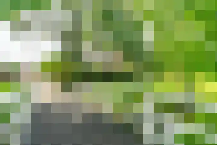 Telemannstraat 9 Rhoon thumbnail 60