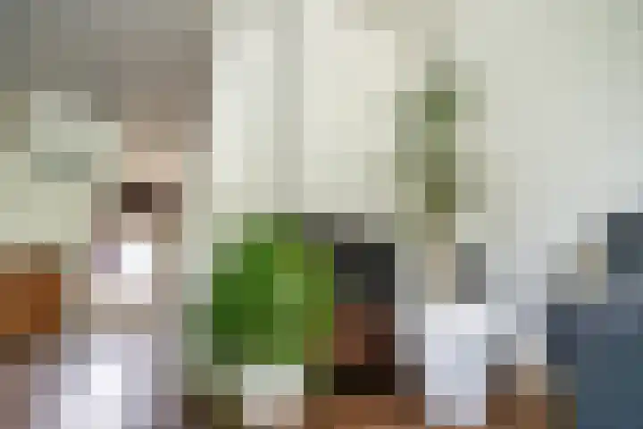 Telemannstraat 9 Rhoon thumbnail 7