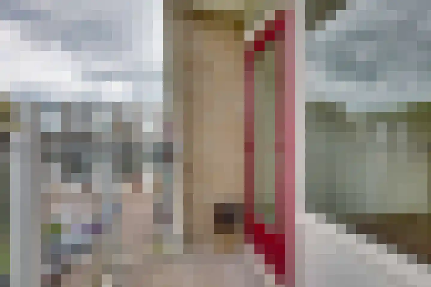 Telemannstraat 91 Zwolle thumbnail 14