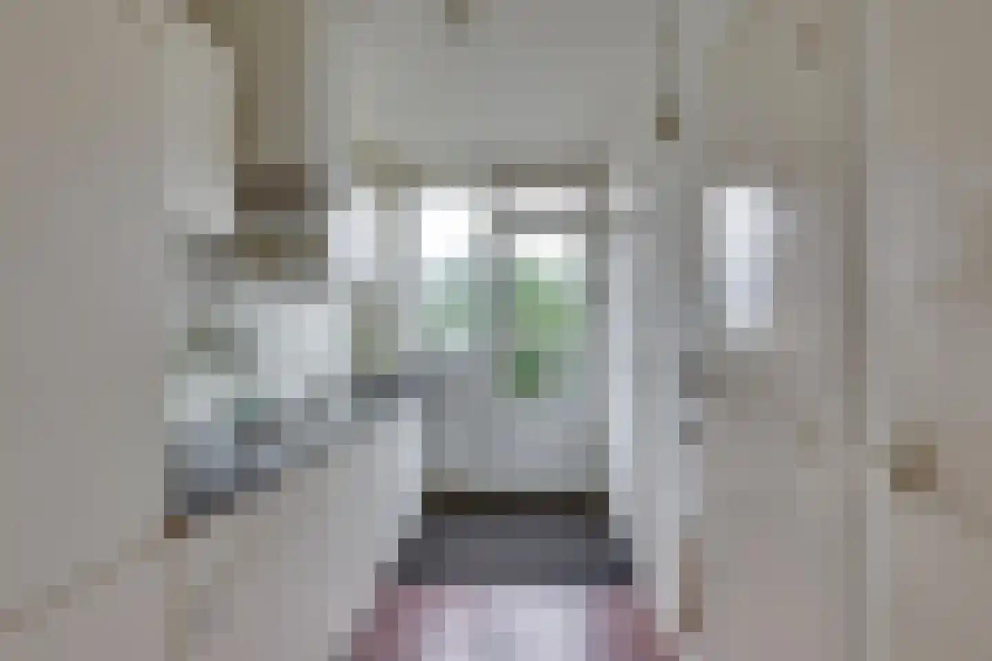 Telemannstraat 91 Zwolle thumbnail 5
