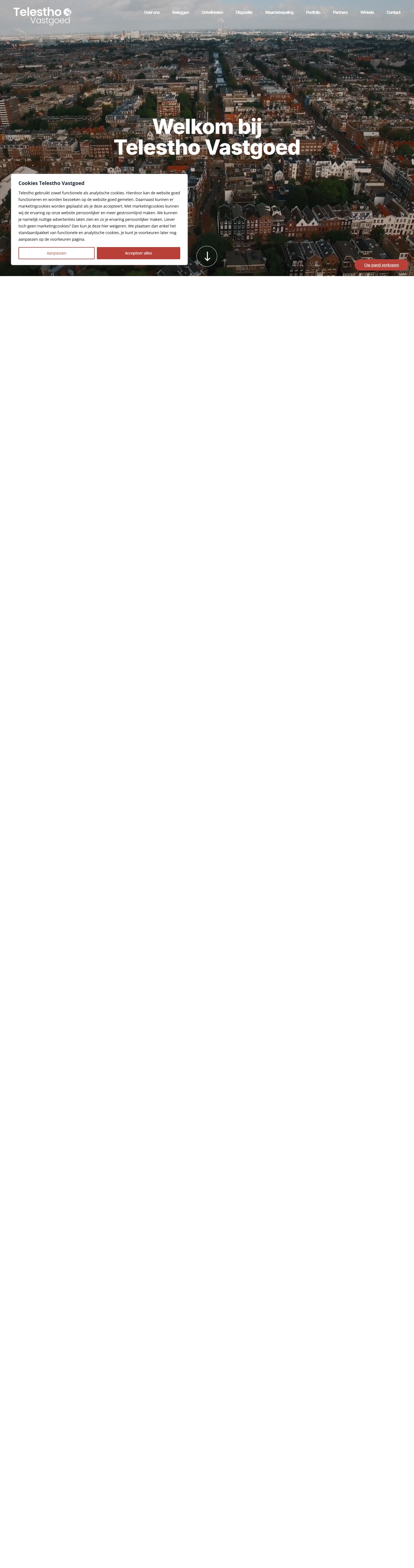 Team foto van Telestho Vastgoed BV