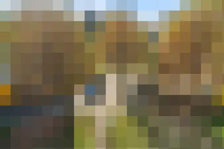 Televisiebaan 96 IJsselstein thumbnail 38