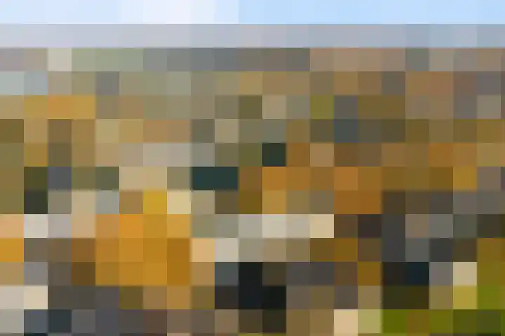 Televisiebaan 96 IJsselstein thumbnail 42