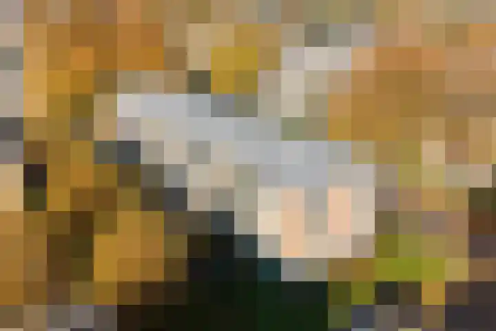 Televisiebaan 96 IJsselstein thumbnail 44