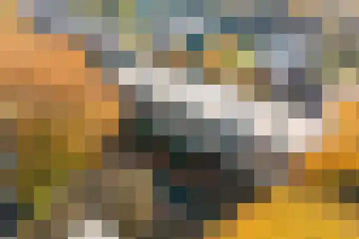 Televisiebaan 96 IJsselstein thumbnail 47