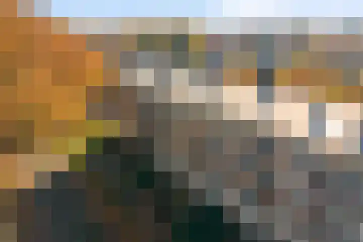 Televisiebaan 96 IJsselstein thumbnail 48