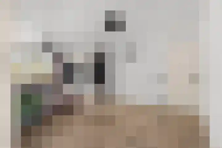 Televisiebaan 96 IJsselstein thumbnail 9