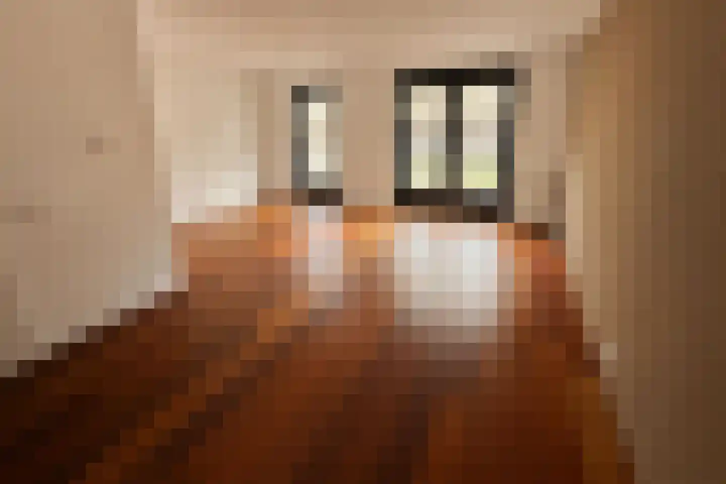 Televisiestraat 64 Roosendaal thumbnail 5