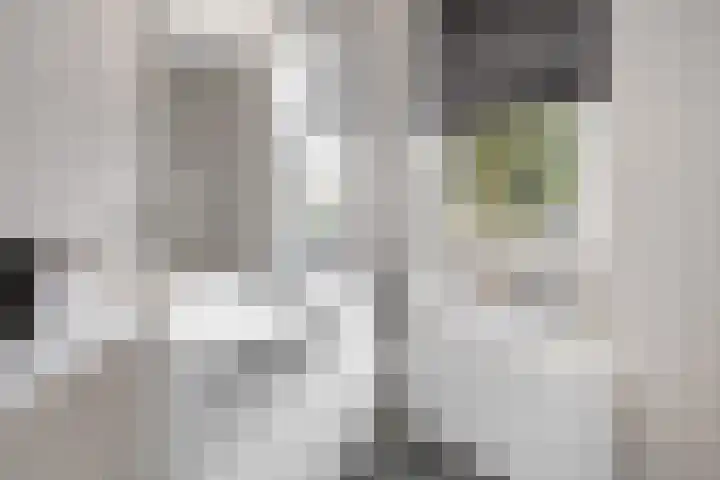Televisiestraat 87 Roosendaal thumbnail 21