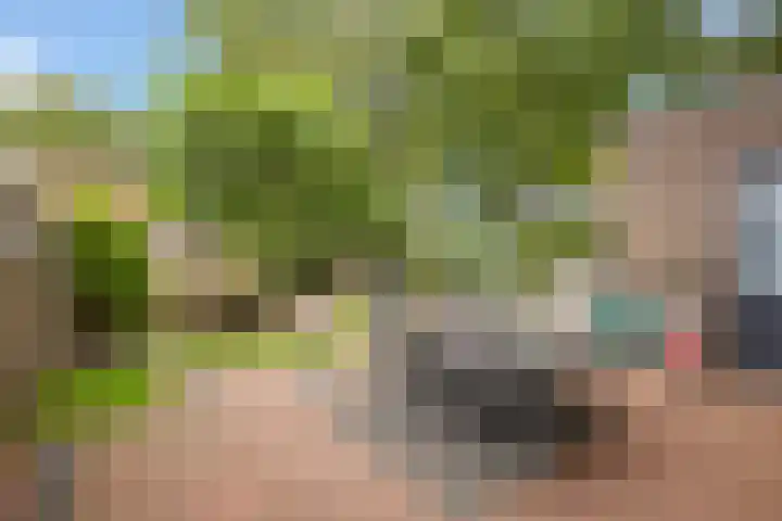 Televisiestraat 87 Roosendaal thumbnail 33