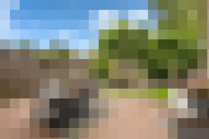 Televisiestraat 87 Roosendaal thumbnail 34