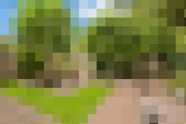 Televisiestraat 87 Roosendaal thumbnail 36