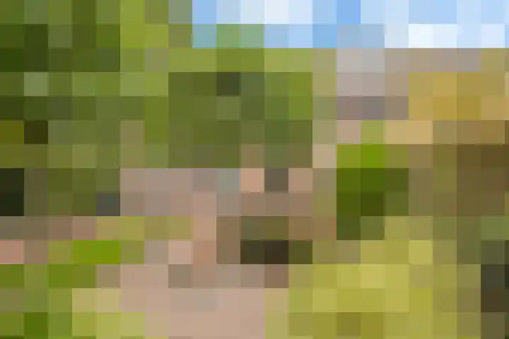 Televisiestraat 87 Roosendaal thumbnail 37