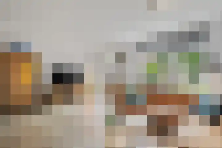 Televisiestraat 87 Roosendaal thumbnail 9