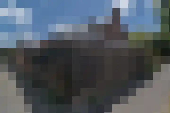 Telexstraat 1 Roosendaal thumbnail 33