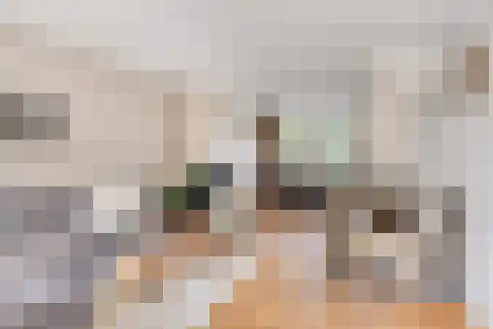 Telexstraat 17 Tilburg thumbnail 20