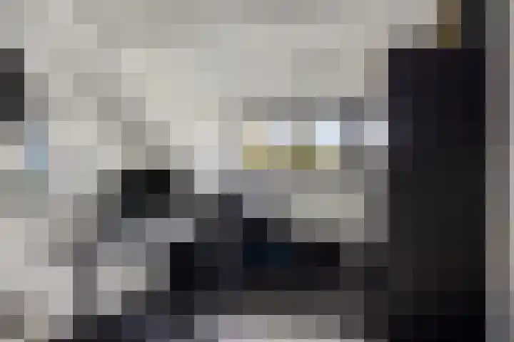 Telexstraat 17 Tilburg thumbnail 32