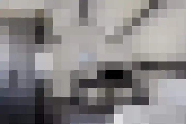 Telexstraat 17 Tilburg thumbnail 33