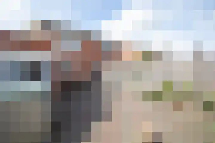 Telgen 11 Wierden thumbnail 22