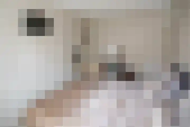 Telgen 11 Wierden thumbnail 27