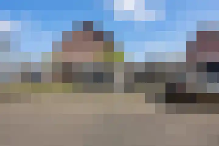 Telgen 11 Wierden thumbnail 29