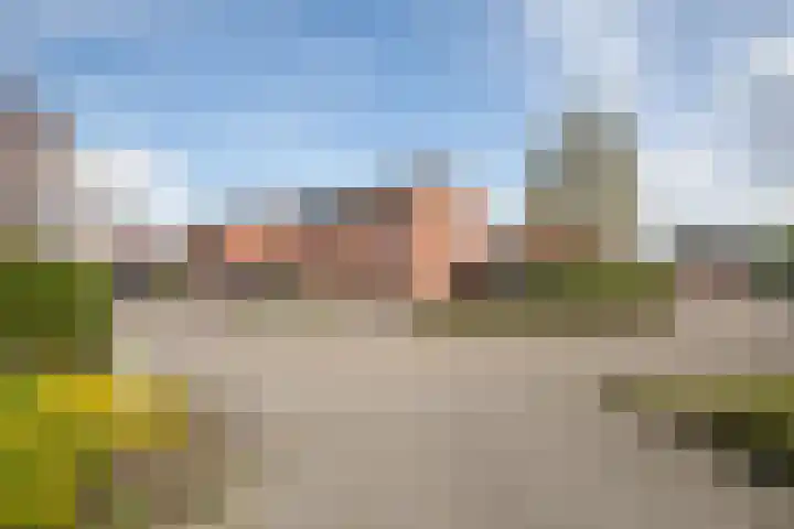Telgen 11 Wierden foto 3