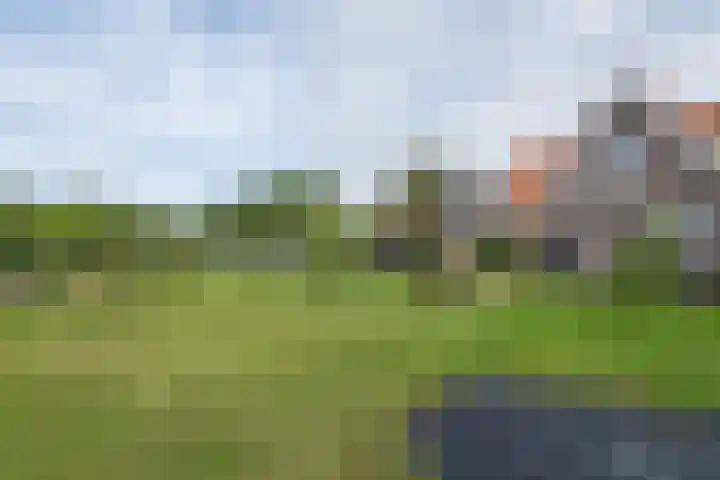 Telgen 11 Wierden thumbnail 31