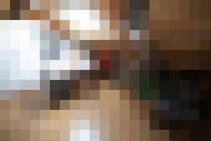 Telgen 11 Wierden thumbnail 38