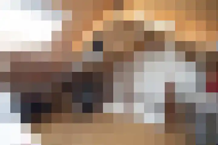 Telgen 11 Wierden thumbnail 39