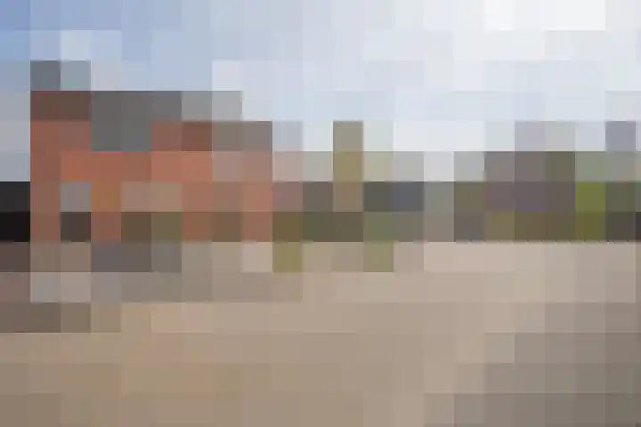 Telgen 11 Wierden thumbnail 4