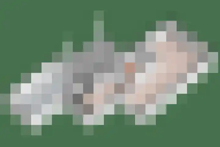 Telgen 11 Wierden thumbnail 42