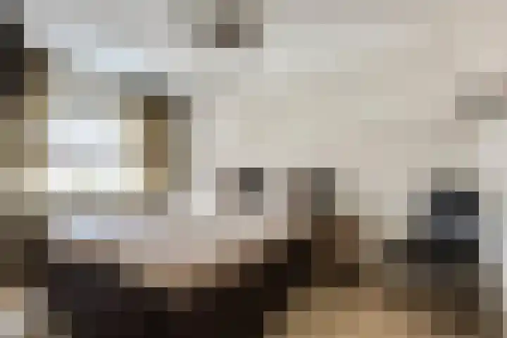 Telgen 11 Wierden thumbnail 5
