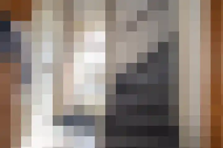 Telgen 11 Wierden thumbnail 6