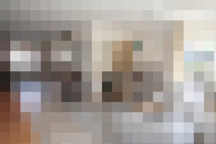 Telgen 11 Wierden thumbnail 8