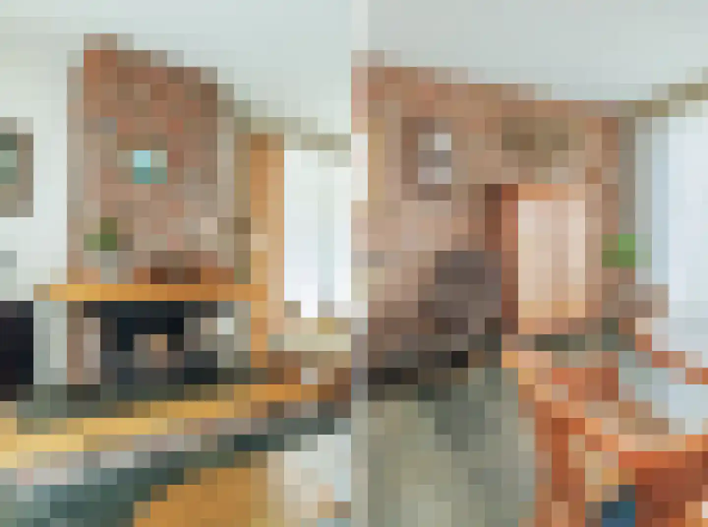 Telgen 32 Wierden thumbnail 15